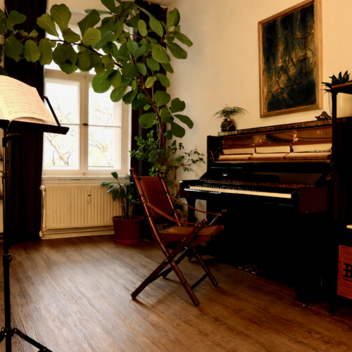 sala de música acogedora con plantas(1)